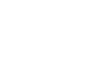 BESOFT logo — official APINAGA lion arena slot catalog vendor