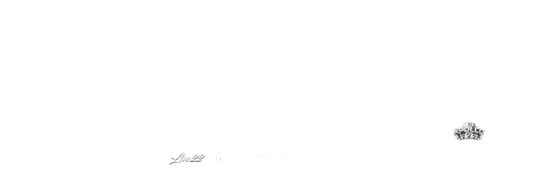 Row of official APINAGA trusted vendor logos — gold lion slots, premium casino, trusted sportsbook
